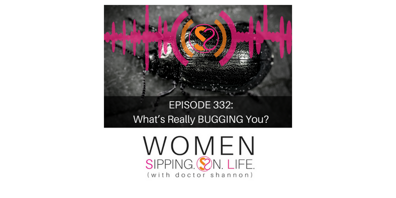EPISODE 332: What’s Really BUGGING You?