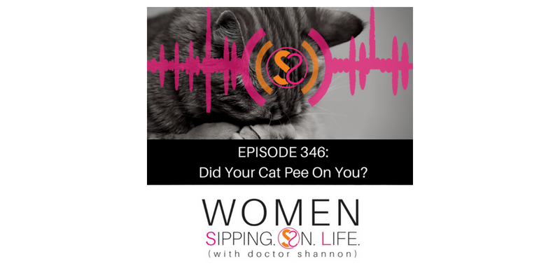 EPISODE 346: Did Your Cat Pee On You?