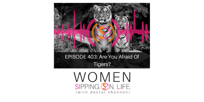 EPISODE 403: Are You Afraid Of Tigers?