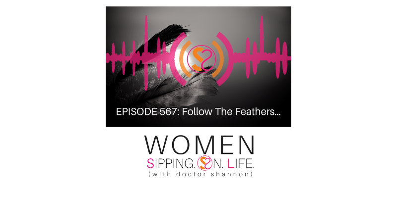 EPISODE 567: Follow The Feathers…