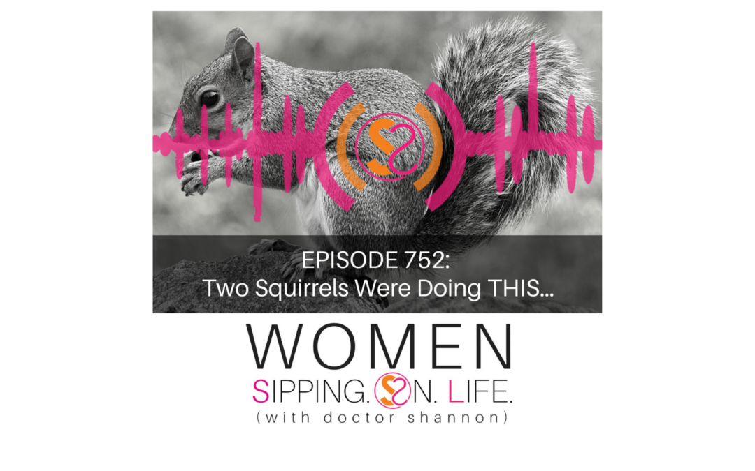 EPISODE 752: Two Squirrels Were Doing THIS…