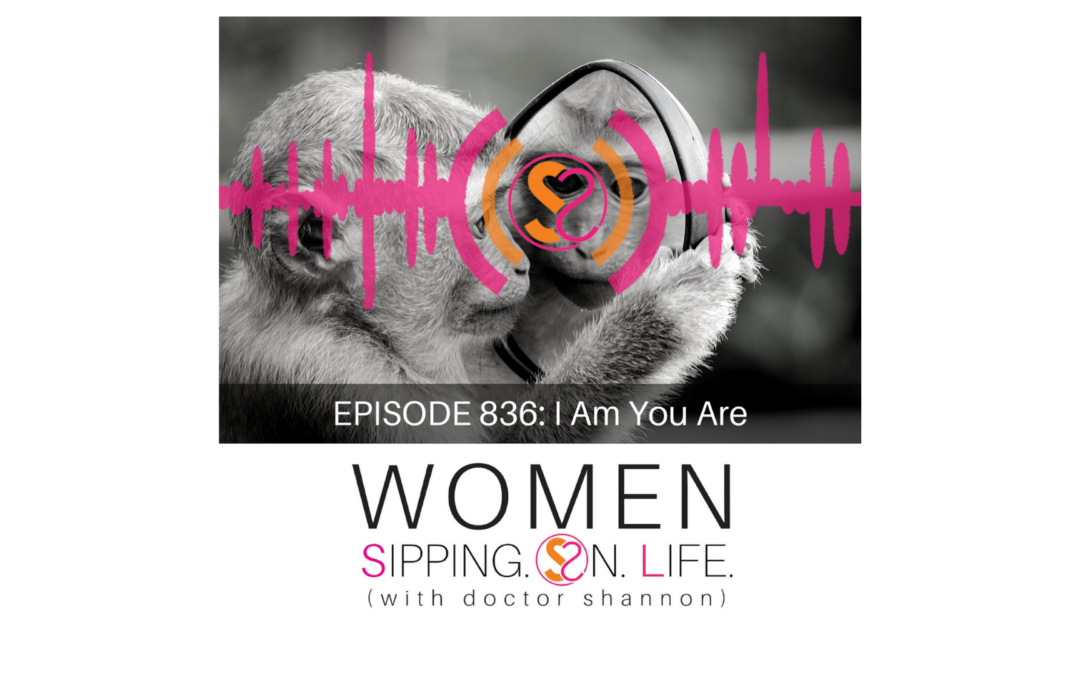 EPISODE 836: I Am You Are…