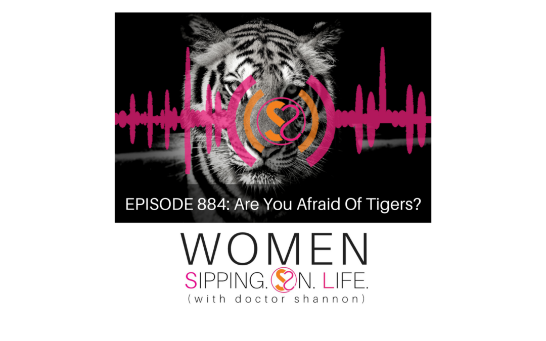 EPISODE 884: Are You Afraid Of Tigers?