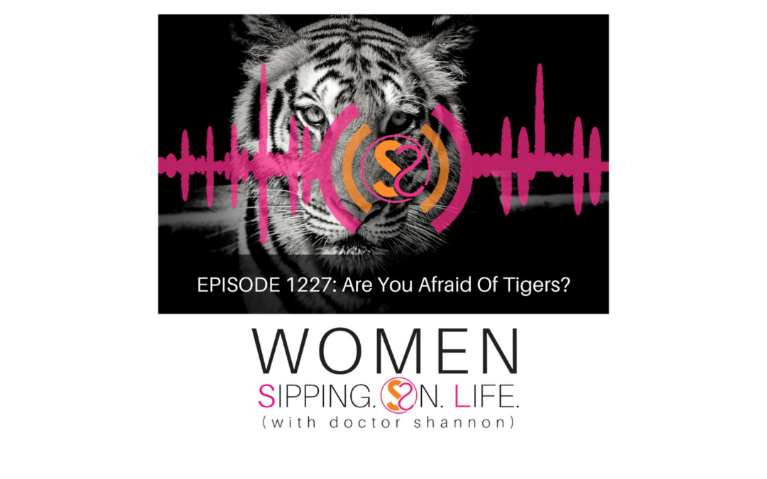 EPISODE 1227: Are You Afraid Of Tigers?